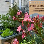 Alte Schule Wittenberg, 3 Fuer Bis Zu 12 Personen, An Der Elbe, Mit Garten Wittenberg