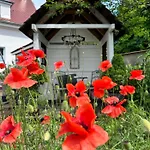 Apartamento Alte Schule Wittenberg, 3 Fuer Bis Zu 12 Personen, An Der Elbe, Mit Garten *