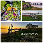 Apartamento Alte Schule Wittenberg, 3 Fuer Bis Zu 12 Personen, An Der Elbe, Mit Garten