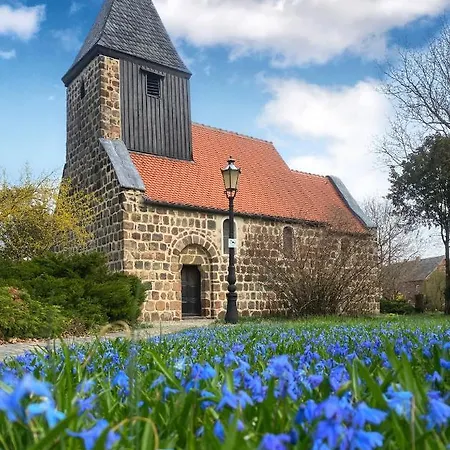 Apartament Alte Schule Wittenberg, 3 Fuer Bis Zu 12 Personen, An Der Elbe, Mit Garten Wittenberg