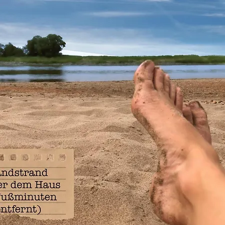 Alte Schule Wittenberg, 3 Fuer Bis Zu 12 Personen, An Der Elbe, Mit Garten Daire Wittenberg