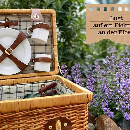 Alte Schule Wittenberg, 3 Fuer Bis Zu 12 Personen, An Der Elbe, Mit Garten *