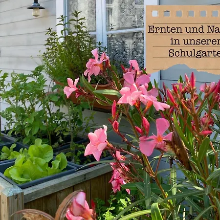 Alte Schule Wittenberg, 3 Fuer Bis Zu 12 Personen, An Der Elbe, Mit Garten Wittenberg