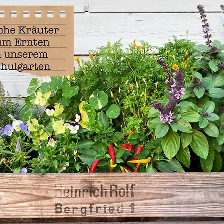 Alte Schule Wittenberg, 3 Fuer Bis Zu 12 Personen, An Der Elbe, Mit Garten Daire Wittenberg