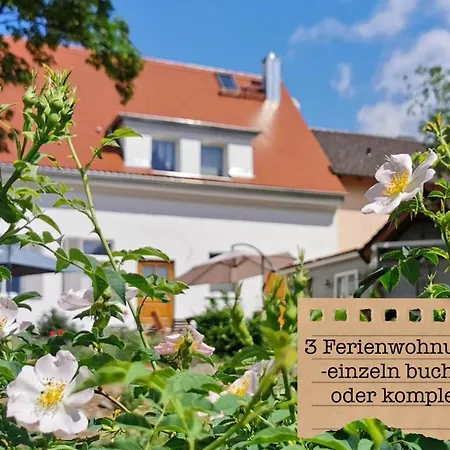 Alte Schule Wittenberg, 3 Fuer Bis Zu 12 Personen, An Der Elbe, Mit Garten Apartament