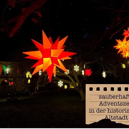 Alte Schule Wittenberg, 3 Fuer Bis Zu 12 Personen, An Der Elbe, Mit Garten * Wittenberg