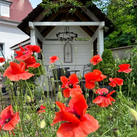 Apartamento Alte Schule Wittenberg, 3 Für Bis Zu 12 Personen, An Der Elbe, Mit Garten *