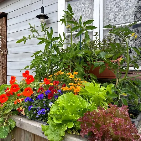 Alte Schule Wittenberg, 3 Fuer Bis Zu 12 Personen, An Der Elbe, Mit Garten شقة Wittenberg