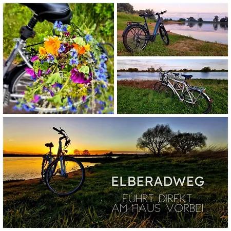 Apartament Alte Schule Wittenberg, 3 Fuer Bis Zu 12 Personen, An Der Elbe, Mit Garten