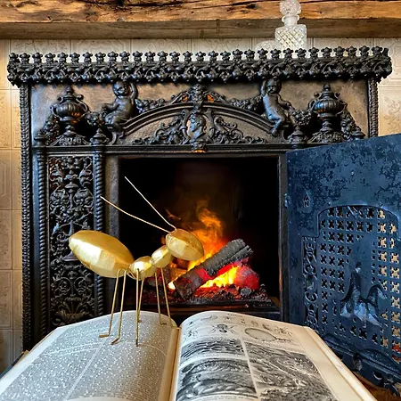 Alte Schule Wittenberg, 3 Fuer Bis Zu 12 Personen, An Der Elbe, Mit Garten Apartament *