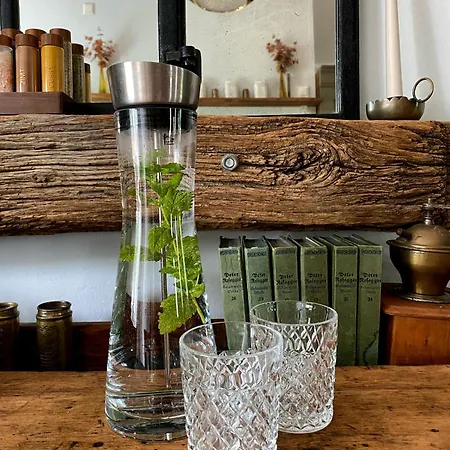Lägenhet Alte Schule Wittenberg, 3 Fuer Bis Zu 12 Personen, An Der Elbe, Mit Garten *