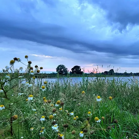 Apartamento Alte Schule Wittenberg, 3 Für Bis Zu 12 Personen, An Der Elbe, Mit Garten *