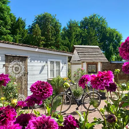 Apartament Alte Schule Wittenberg, 3 Fuer Bis Zu 12 Personen, An Der Elbe, Mit Garten Wittenberg