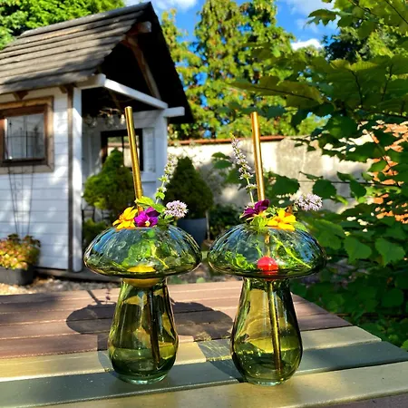 Alte Schule Wittenberg, 3 Fuer Bis Zu 12 Personen, An Der Elbe, Mit Garten Wittenberg