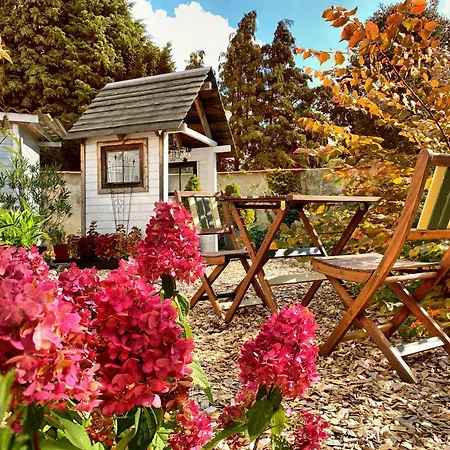 Daire Alte Schule Wittenberg, 3 Fuer Bis Zu 12 Personen, An Der Elbe, Mit Garten *