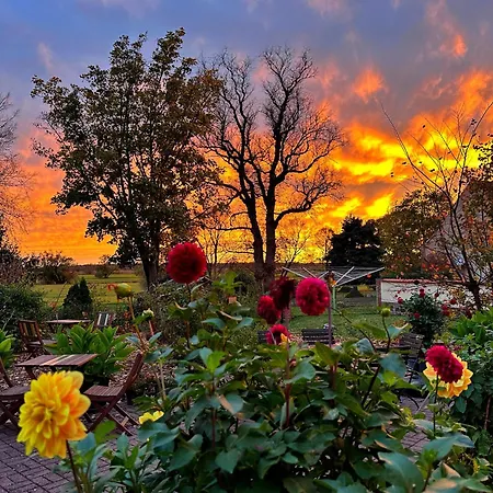 Apartament Alte Schule Wittenberg, 3 Fuer Bis Zu 12 Personen, An Der Elbe, Mit Garten