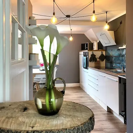 Alte Schule Wittenberg, 3 Fuer Bis Zu 12 Personen, An Der Elbe, Mit Garten * Wittenberg