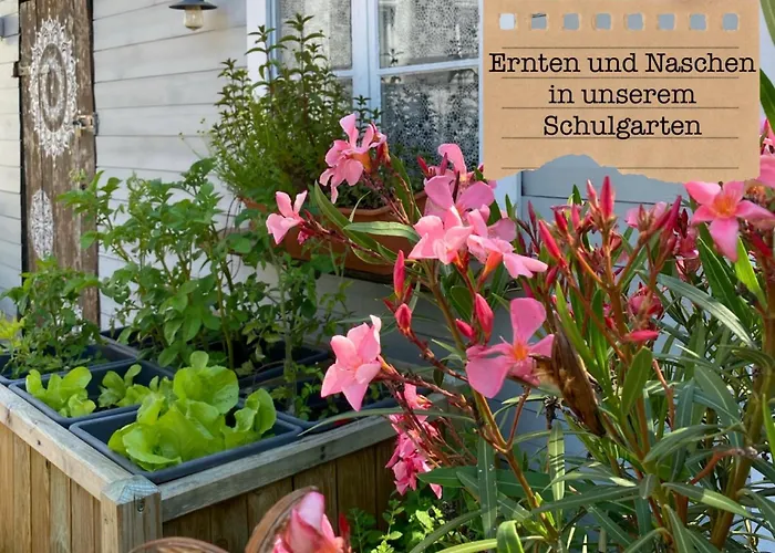 Alte Schule Wittenberg, 3 Fuer Bis Zu 12 Personen, An Der Elbe, Mit Garten Wittenberg