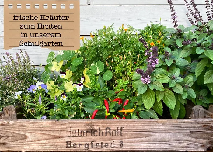 Alte Schule Wittenberg, 3 Fuer Bis Zu 12 Personen, An Der Elbe, Mit Garten Apartmán Wittenberg