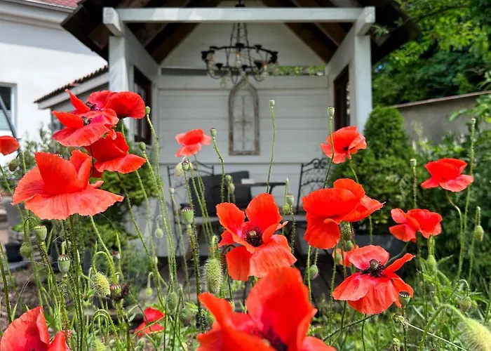 Daire Alte Schule Wittenberg, 3 Fuer Bis Zu 12 Personen, An Der Elbe, Mit Garten *