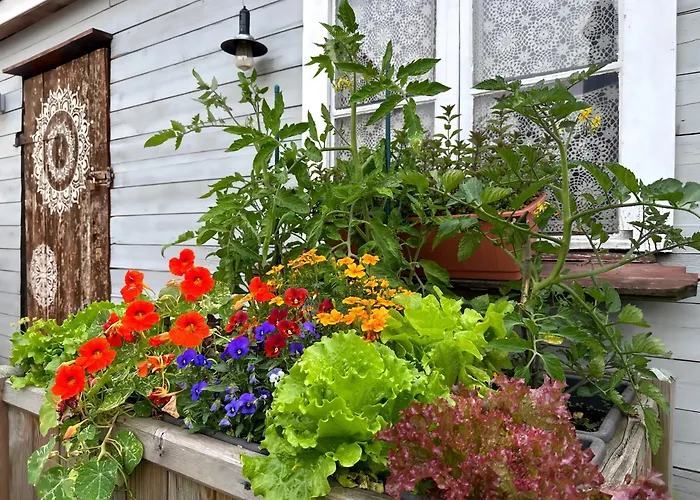 Alte Schule Wittenberg, 3 Fuer Bis Zu 12 Personen, An Der Elbe, Mit Garten Daire Wittenberg