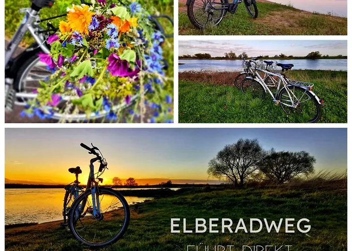 Daire Alte Schule Wittenberg, 3 Fuer Bis Zu 12 Personen, An Der Elbe, Mit Garten