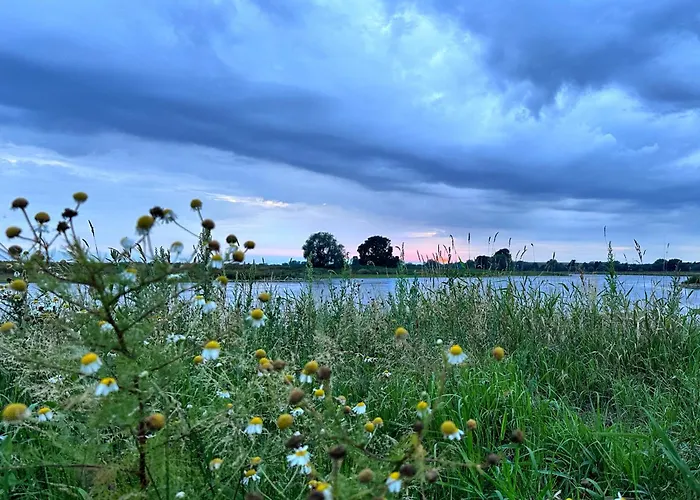 Apartmán Alte Schule Wittenberg, 3 Fuer Bis Zu 12 Personen, An Der Elbe, Mit Garten *
