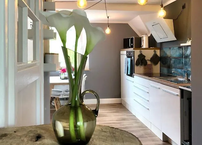 Alte Schule Wittenberg, 3 Fuer Bis Zu 12 Personen, An Der Elbe, Mit Garten * Wittenberg